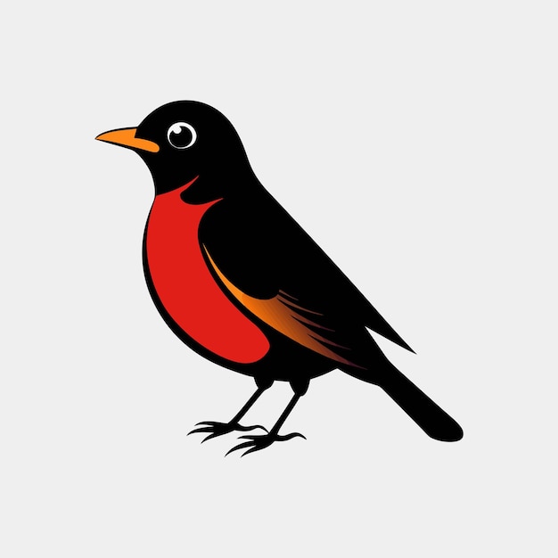 Vector american robin silhouette art and hand drawn bird outline illustration