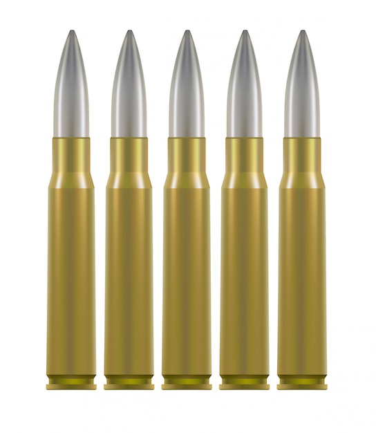 Ammo cartridges. Brass cases with silver bullet inside.