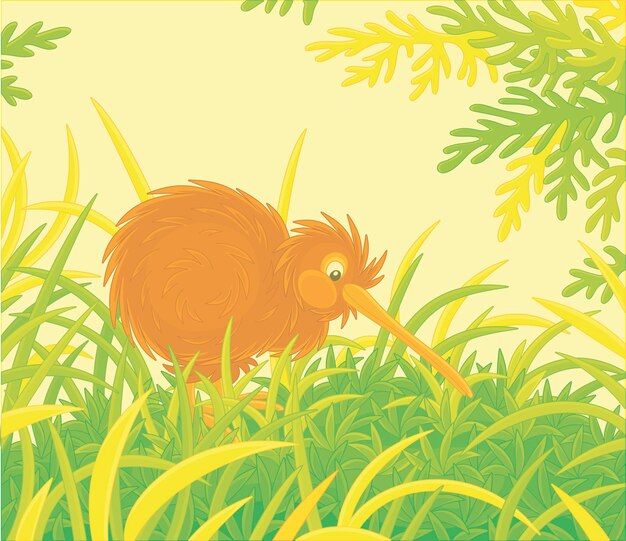 Vector amusing flightless new zealand kiwi bird with shaggy feathers and a long bill walking among grass