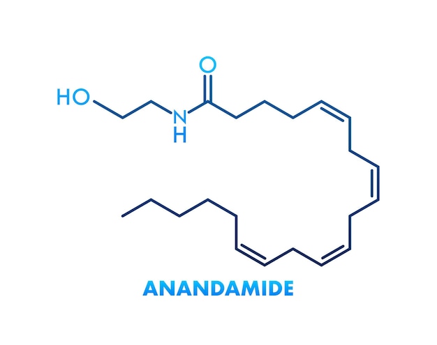 Anandamide concept chemical formula icon label text font vector illustration