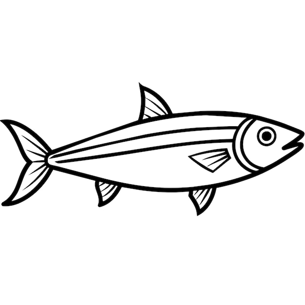 Anchovies fish knocks icon vector illustration