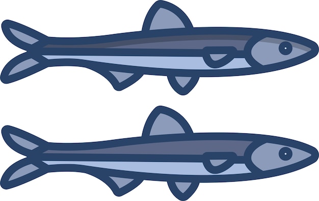 Anchovy fish linear color illustration