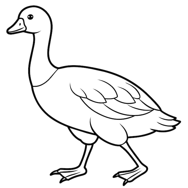 Andean Goose walks icon vector illustration