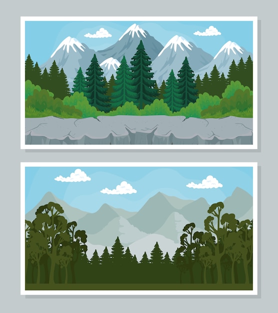 Andscape of pine trees banners design, nature and outdoor