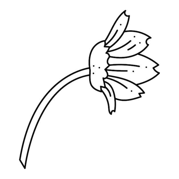 Anemon oak flower doodle Hand drawn outline vector illustration