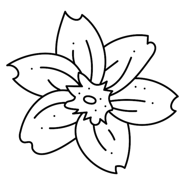 Anemon oak flower second doodle Hand drawn outline vector illustration