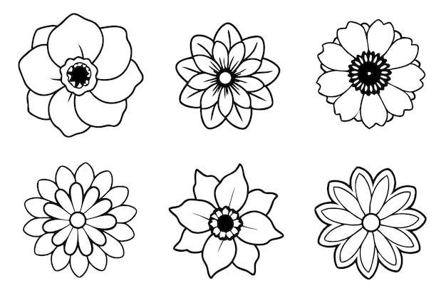 Anemone Flower line art