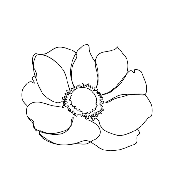 Anemone flower one line art Continuous line of plants herb flower poppy blossom  wildflowers