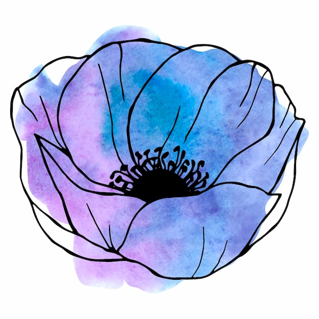 Anemone line art flower on watercolor background floral element for design