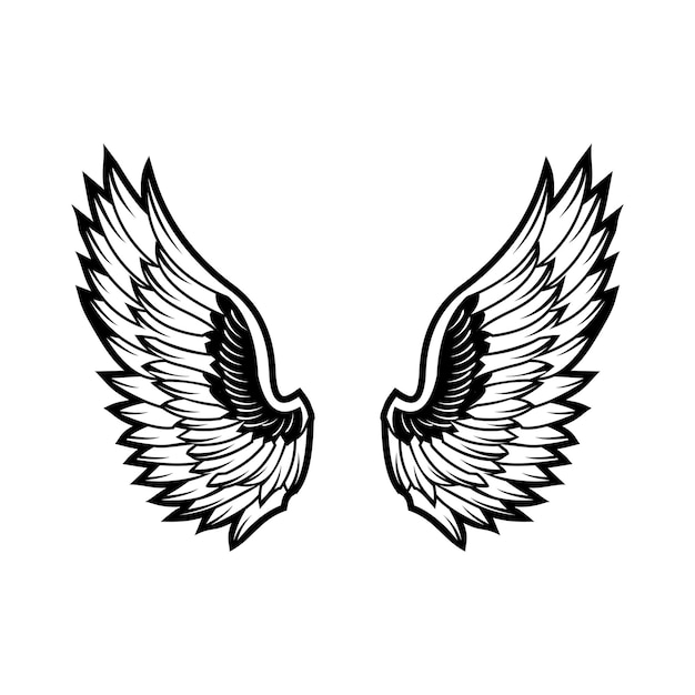 angel wing