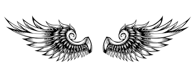 Angel wings vector tattoo design