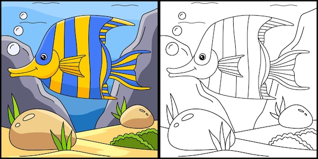 Angelfish Coloring Page Colored Illustration