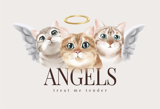 Vector angels slogan with cute kitten angels vector illustration