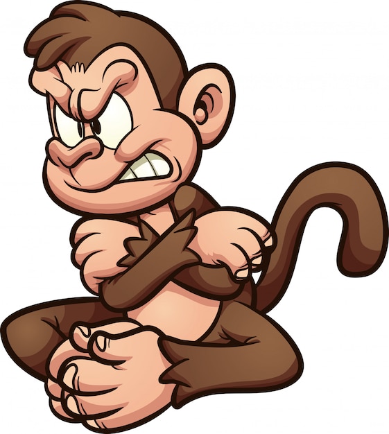 Angry monkey