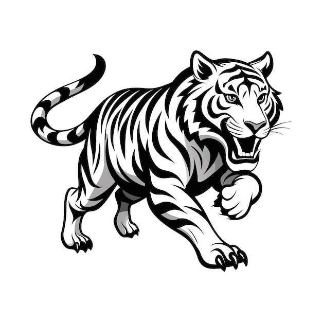 Angry running tiger Face Black And white Free Vector