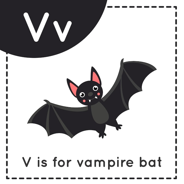 Animal alphabet flashcard for children. Learning letter V. V is vampire bat.