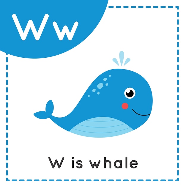 Animal alphabet flashcard for children. Learning letter W. W is for whale.