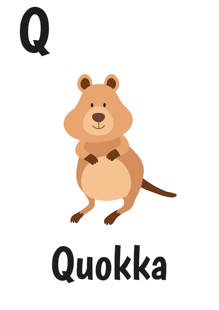 Animal alphabet for kids with quokka