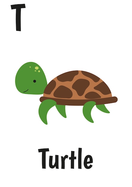 Animal alphabet for kids with turtle