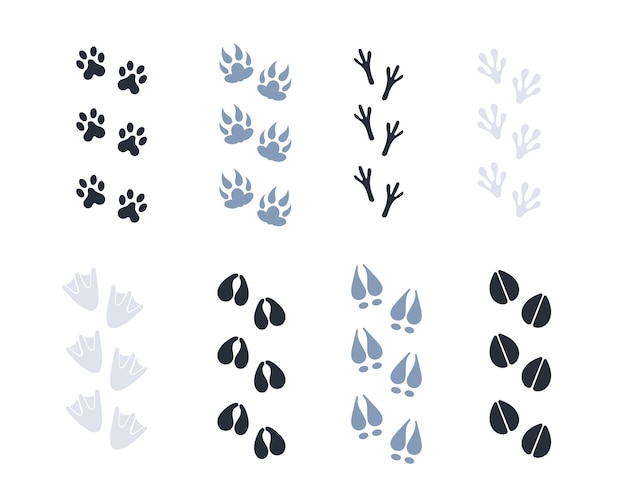 Vector animal and bird trace steps set animal tracks paw prints