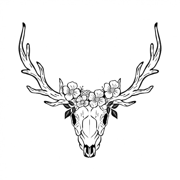 Vector animal deer skull head with floral design