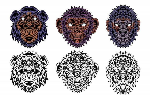 Animal face primate, gorilla, chimpanzee, monkey vintage retro style.