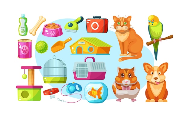 Animal food accessories and toys domestic store