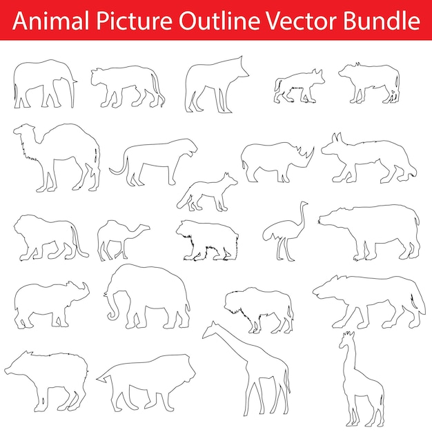 Animal Picture Outline Vector Bundle