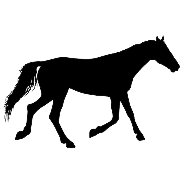 Animal silhouette of black mustang horse illustration