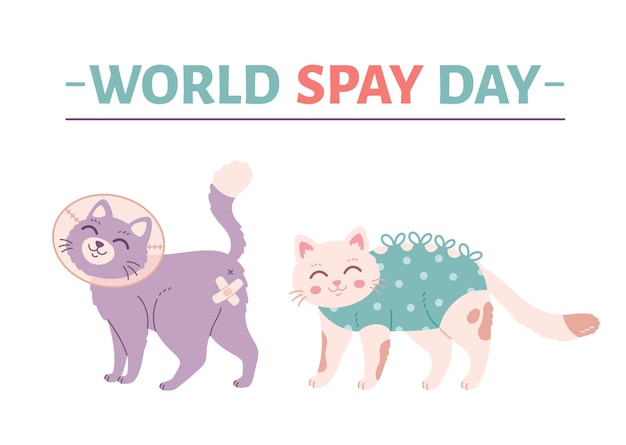 Animal spay or neuter Cat in veterinary collar Sterilization of pets World spay day