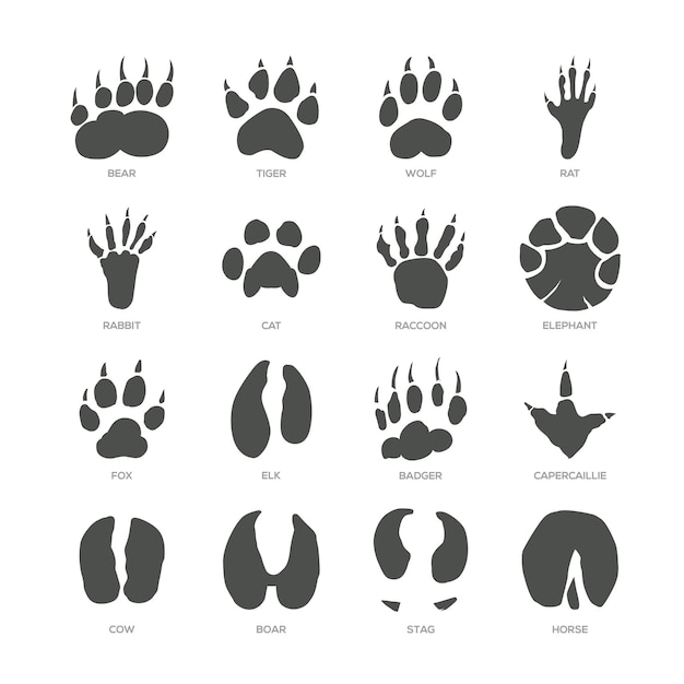 Animal trails  modern isolated vector set