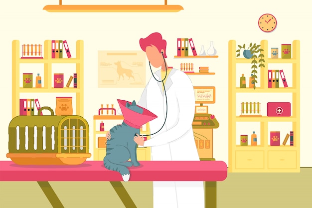 Animal in Vet Cabinet Treating by Veterinarian illustration