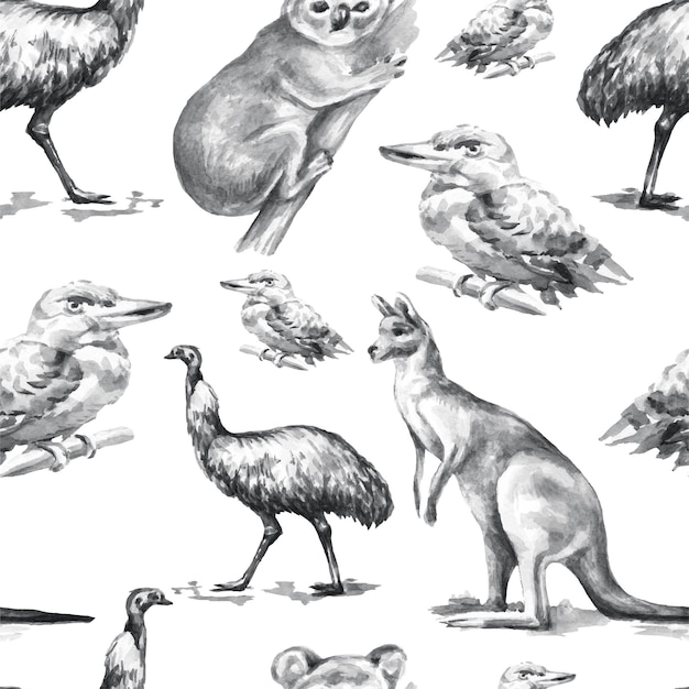 Animals Australia graphic illustration hand drawn koala ostrich