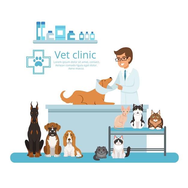 Animals in cabinet of vet hospital. Vector illustration