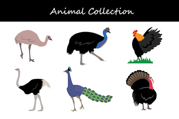 Vector animals collection flat style vector illustration