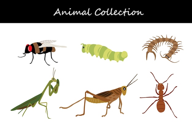 Vector animals collection flat style vector illustration