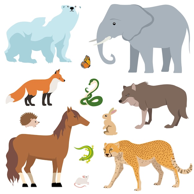 Animals collection isolated on white background