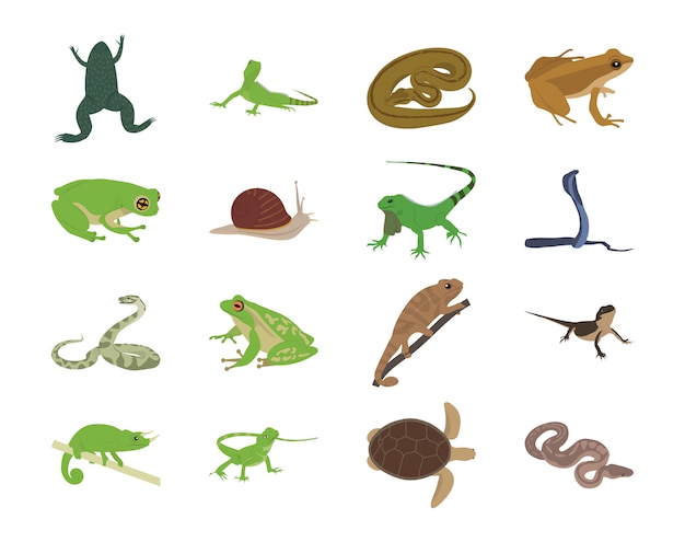 Animals Flat Icons