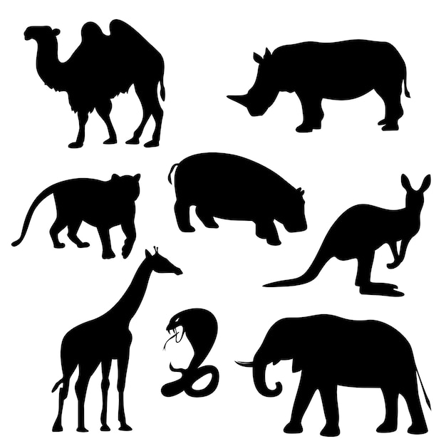 Animals icons on white background