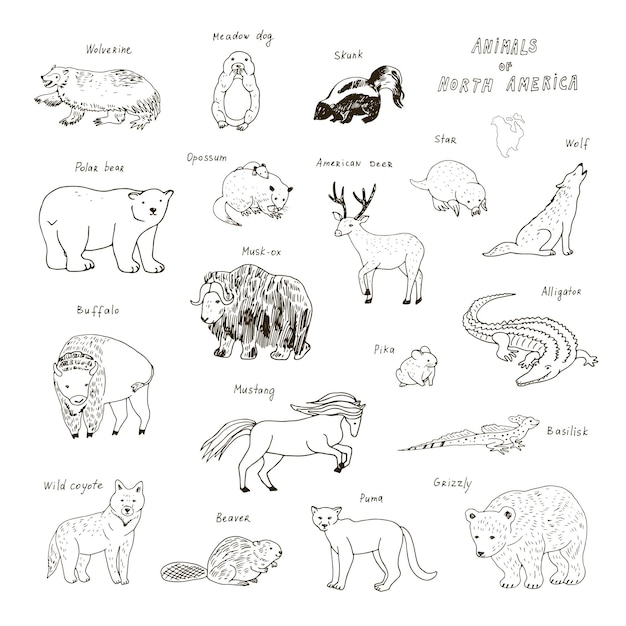 Animals of North America vector illustrations set