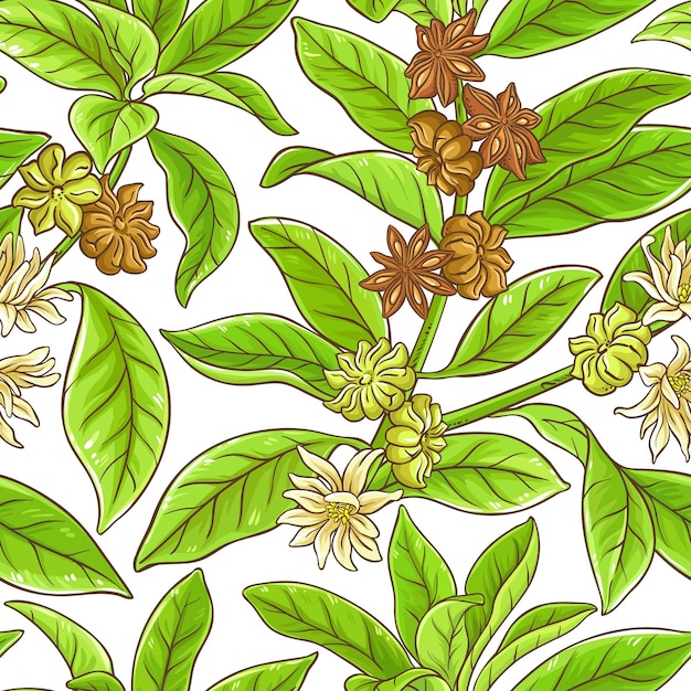 Anise branches pattern