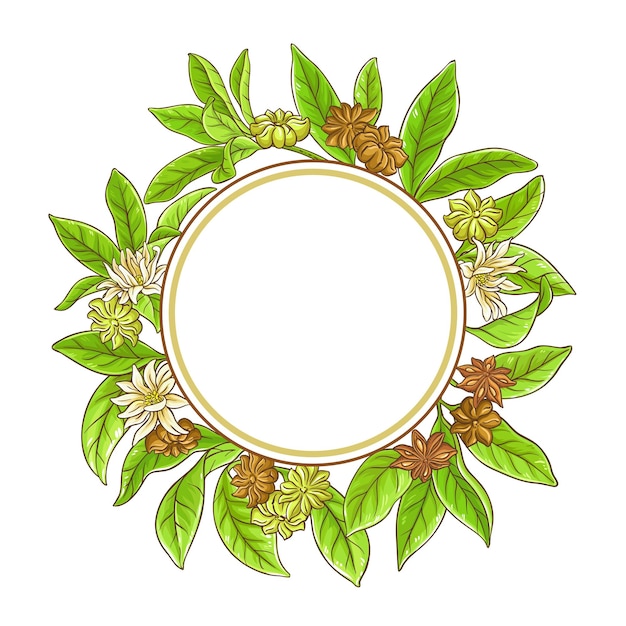 Anise branches vector frame on white background