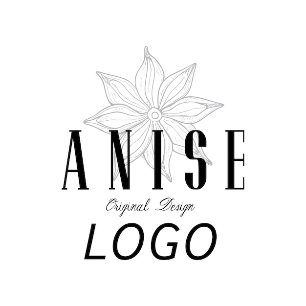 Anise logo original design culinary spice emblem vector Illustration isolated on a white background