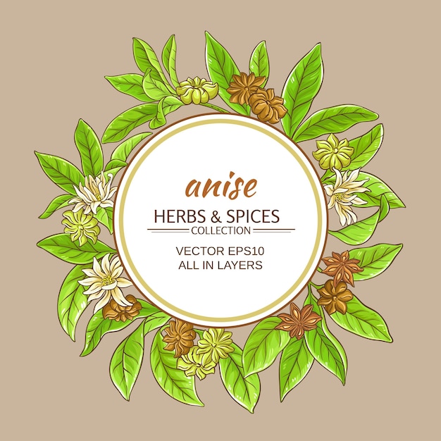 Anise vector frame