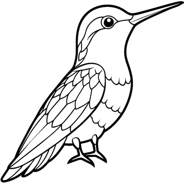 Annas Hummingbird bird stands icon vector illustration