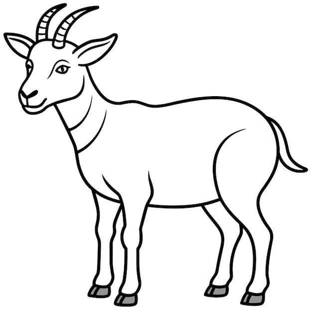 Anoa goat goes icon vector illustration