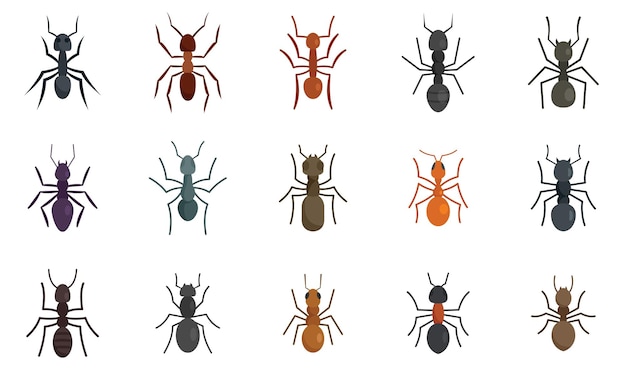 Ant icons set flat style