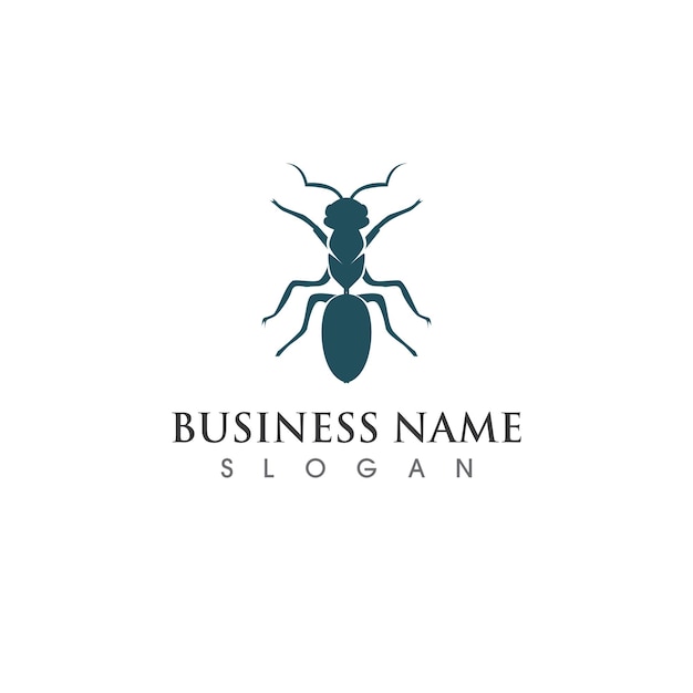 Ant logo and symbol vector image