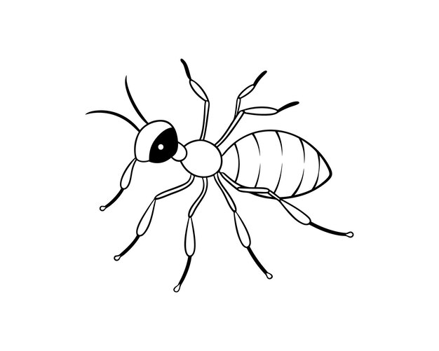 Vector ant silhouette vector illustration