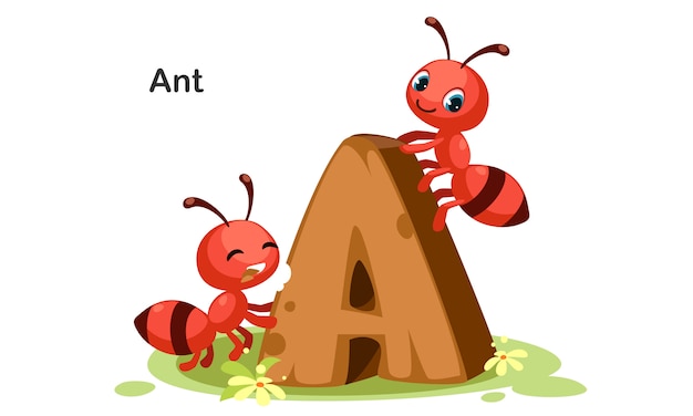 A for Ant